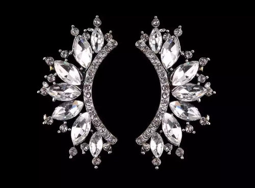 Crystal Crescent Earrings - Silver