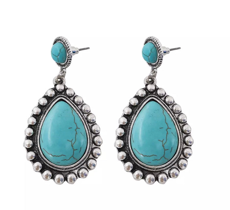 Turquoise/Silver Howlite Earrings